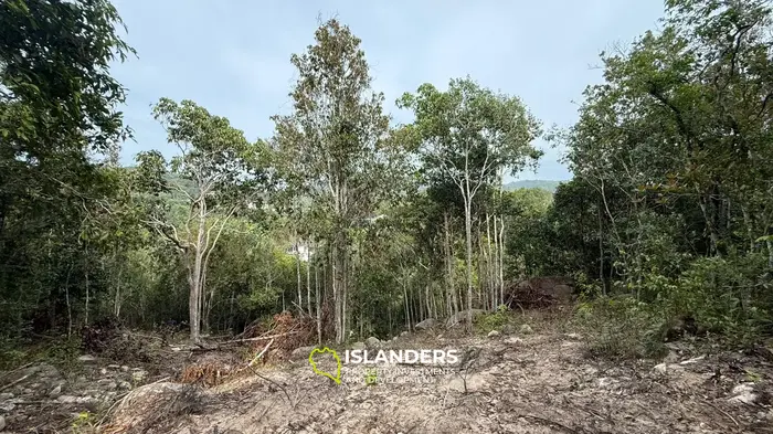 🌿Terreno de Selva en Venta – Sri Thanu, Koh Phangan 🌿