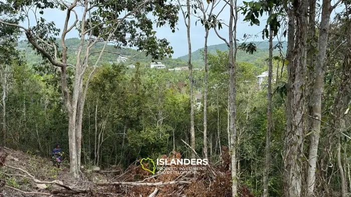🌿Terreno de Selva en Venta – Sri Thanu, Koh Phangan 🌿