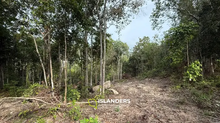 🌿Terreno de Selva en Venta – Sri Thanu, Koh Phangan 🌿