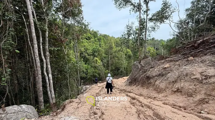 🌿Terreno de Selva en Venta – Sri Thanu, Koh Phangan 🌿