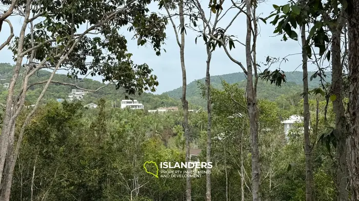 🌿Terreno de Selva en Venta – Sri Thanu, Koh Phangan 🌿