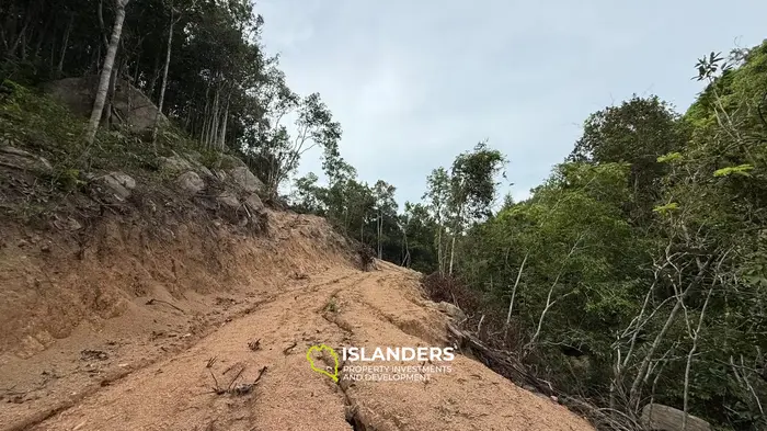 🌿Terreno de Selva en Venta – Sri Thanu, Koh Phangan 🌿