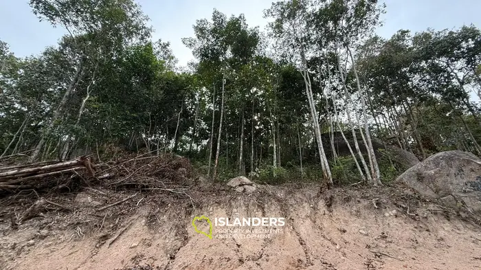 🌿Terreno de Selva en Venta – Sri Thanu, Koh Phangan 🌿