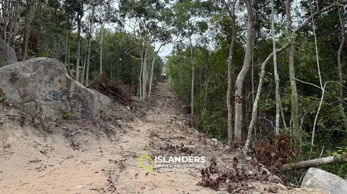 🌿Terreno de Selva en Venta – Sri Thanu, Koh Phangan 🌿