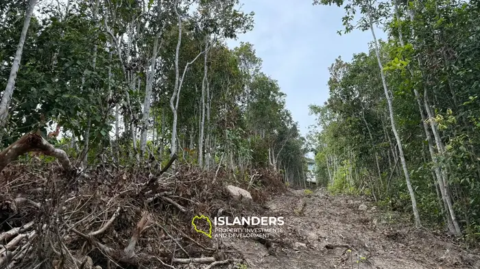 🌿Terreno de Selva en Venta – Sri Thanu, Koh Phangan 🌿