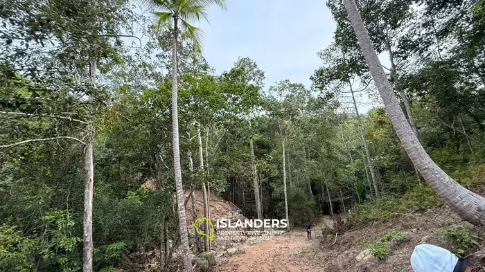🌿Terreno de Selva en Venta – Sri Thanu, Koh Phangan 🌿