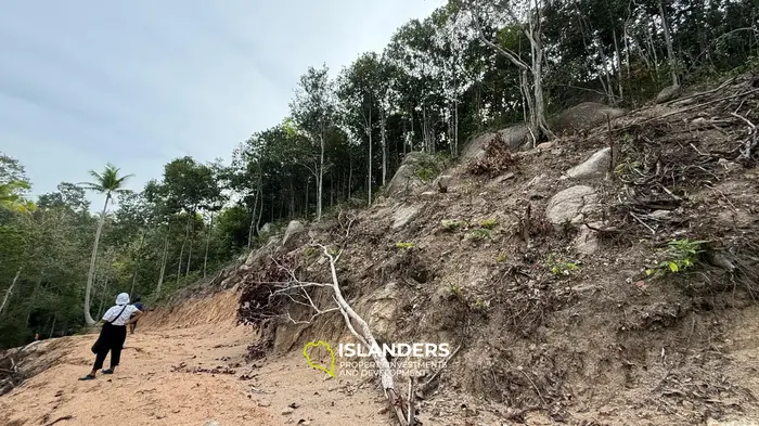 🌿Terreno de Selva en Venta – Sri Thanu, Koh Phangan 🌿