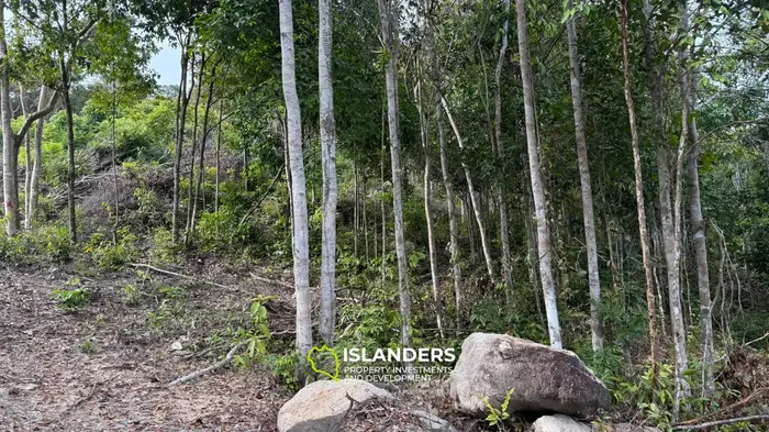 🌿Terreno de Selva en Venta – Sri Thanu, Koh Phangan 🌿