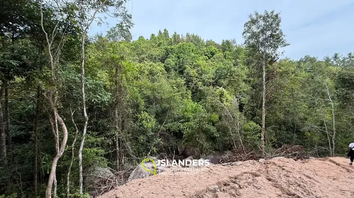 🌿Terreno de Selva en Venta – Sri Thanu, Koh Phangan 🌿