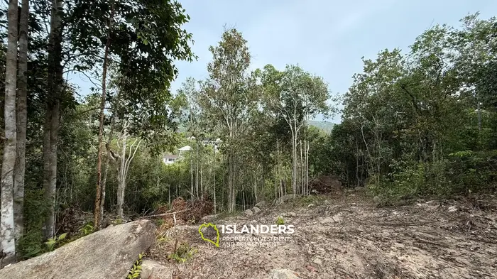 🌿Terreno de Selva en Venta – Sri Thanu, Koh Phangan 🌿