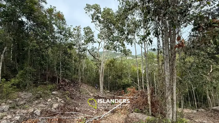 🌿Terreno de Selva en Venta – Sri Thanu, Koh Phangan 🌿