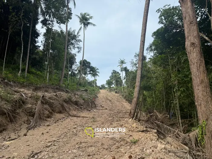 🌿Terreno de Selva en Venta – Sri Thanu, Koh Phangan 🌿