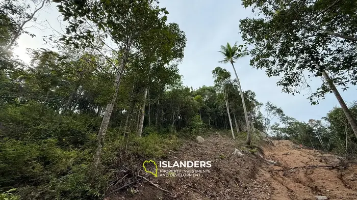 🌿Terreno de Selva en Venta – Sri Thanu, Koh Phangan 🌿