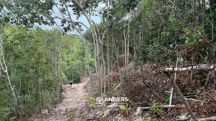 🌿Terreno de Selva en Venta – Sri Thanu, Koh Phangan 🌿
