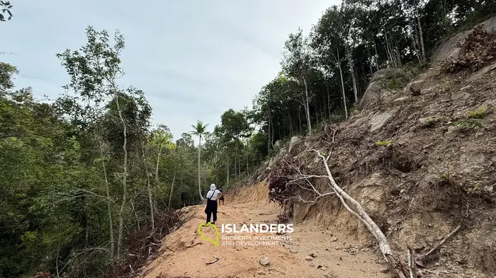 🌿Terreno de Selva en Venta – Sri Thanu, Koh Phangan 🌿