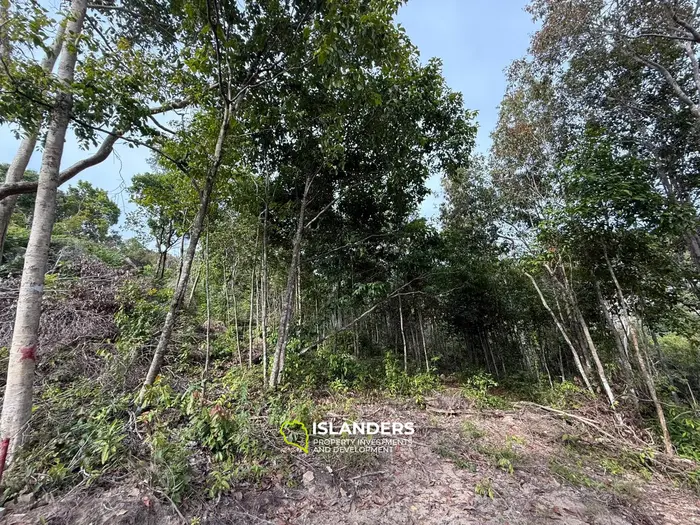 🌿Terreno de Selva en Venta – Sri Thanu, Koh Phangan 🌿