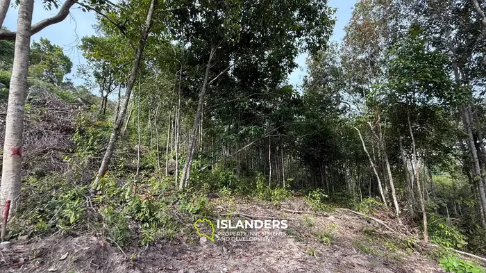 🌿Terreno de Selva en Venta – Sri Thanu, Koh Phangan 🌿