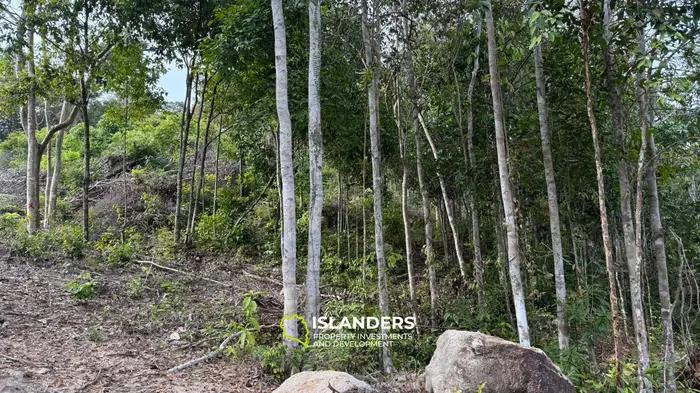 🌿Terreno de Selva en Venta – Sri Thanu, Koh Phangan 🌿