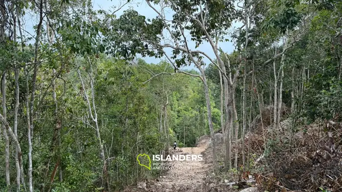 🌿Terreno de Selva en Venta – Sri Thanu, Koh Phangan 🌿