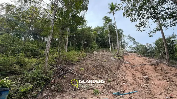 🌿Terreno de Selva en Venta – Sri Thanu, Koh Phangan 🌿