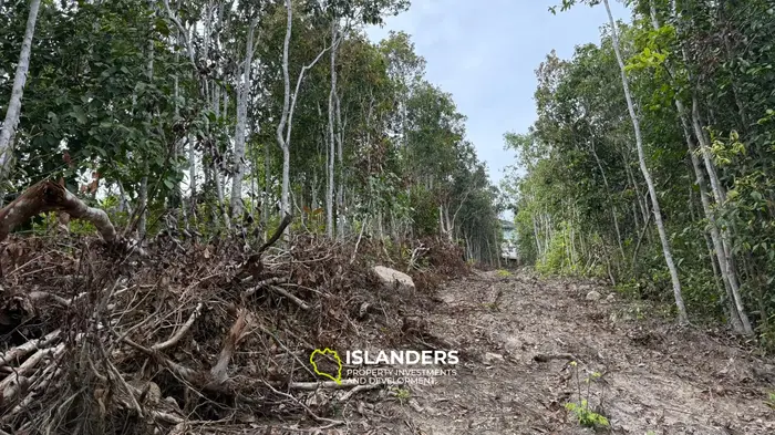 🌿Terreno de Selva en Venta – Sri Thanu, Koh Phangan 🌿
