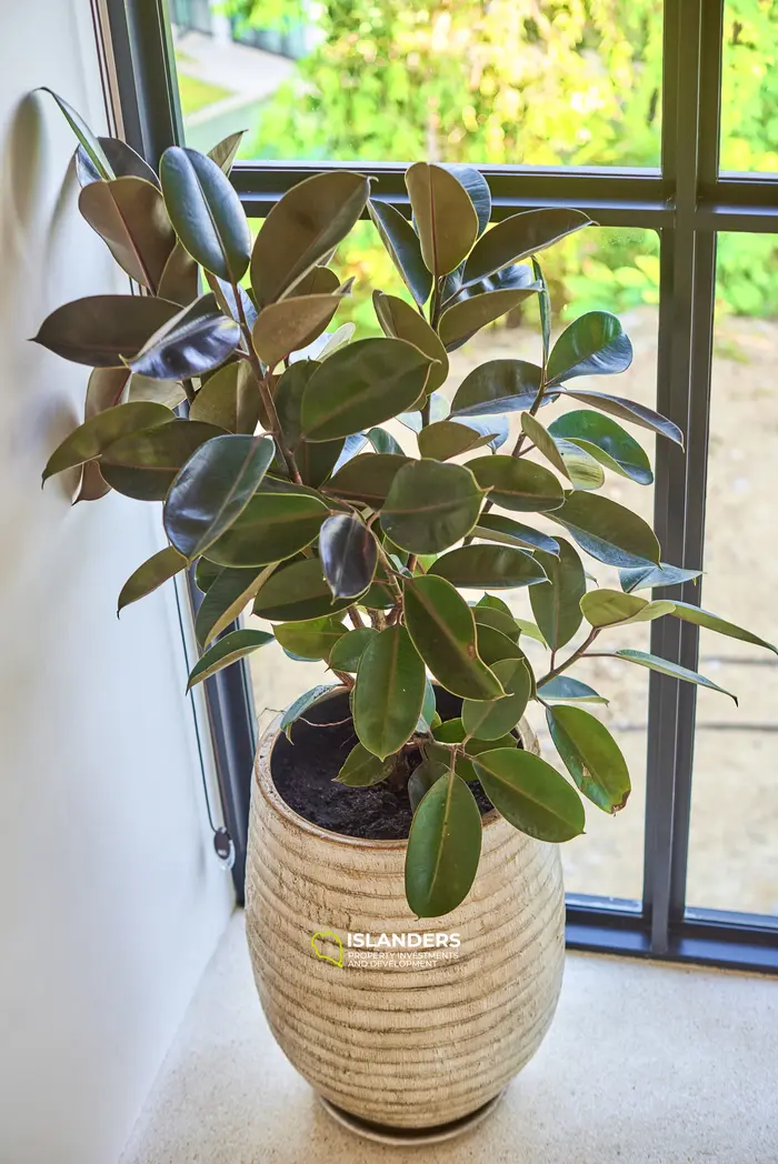 Анора Вилла Сансет Вью 3БР