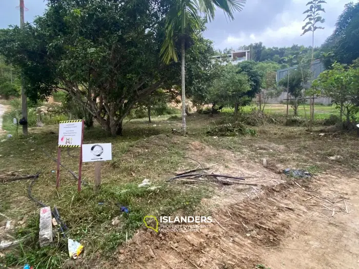 Nice plot of land ready to build 