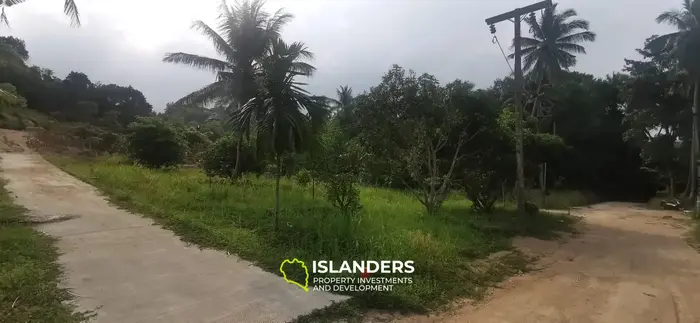 Nice plot of land ready to build 