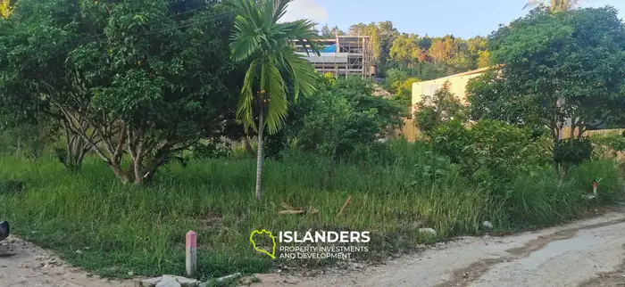 Nice plot of land ready to build 