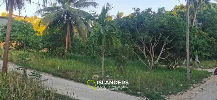 Nice plot of land ready to build 