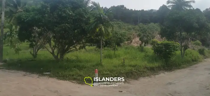 Nice plot of land ready to build 