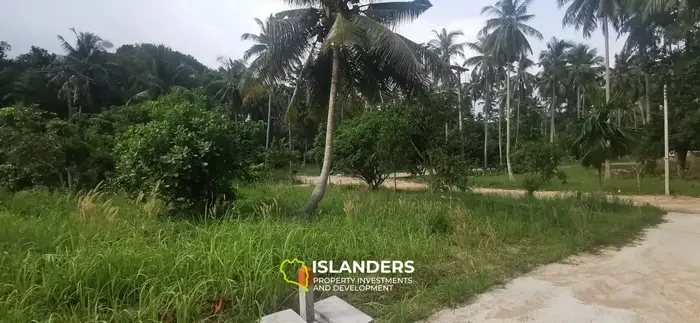 Nice plot of land ready to build 