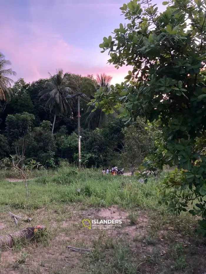 Nice plot of land ready to build 