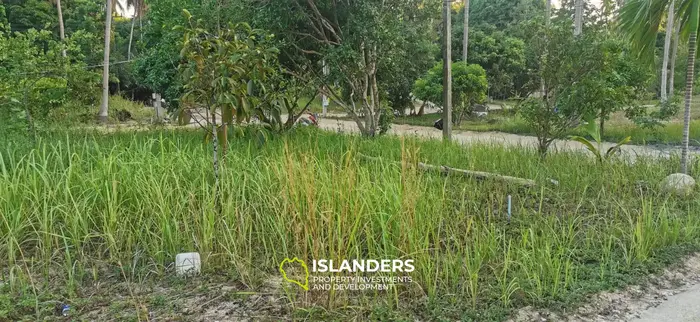 Nice plot of land ready to build 