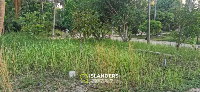 Nice plot of land ready to build 