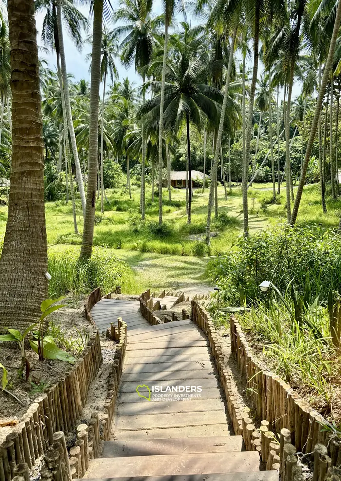 SAUNA & SPA Welllness