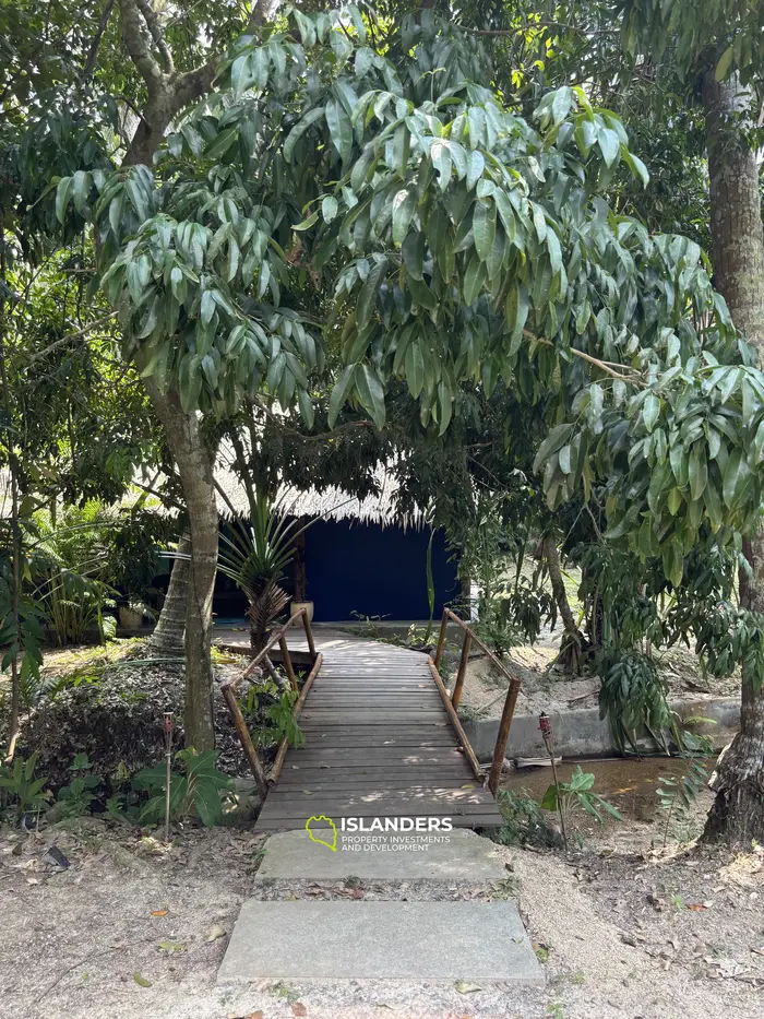 SAUNA & SPA Welllness