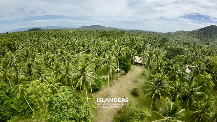 SAUNA & SPA Welllness