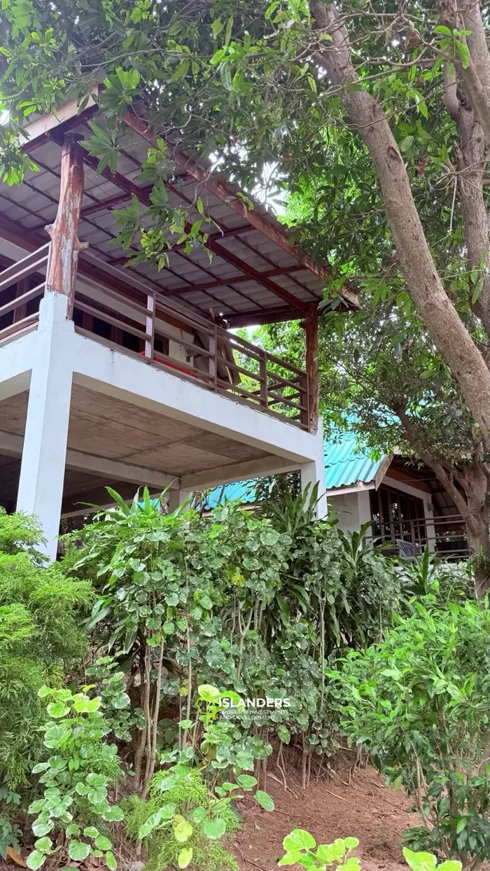 ✨ Beachfront Hotel for Sale at Haad Rin, Koh Phangan — Fully Licensed & Ready-to-Operate