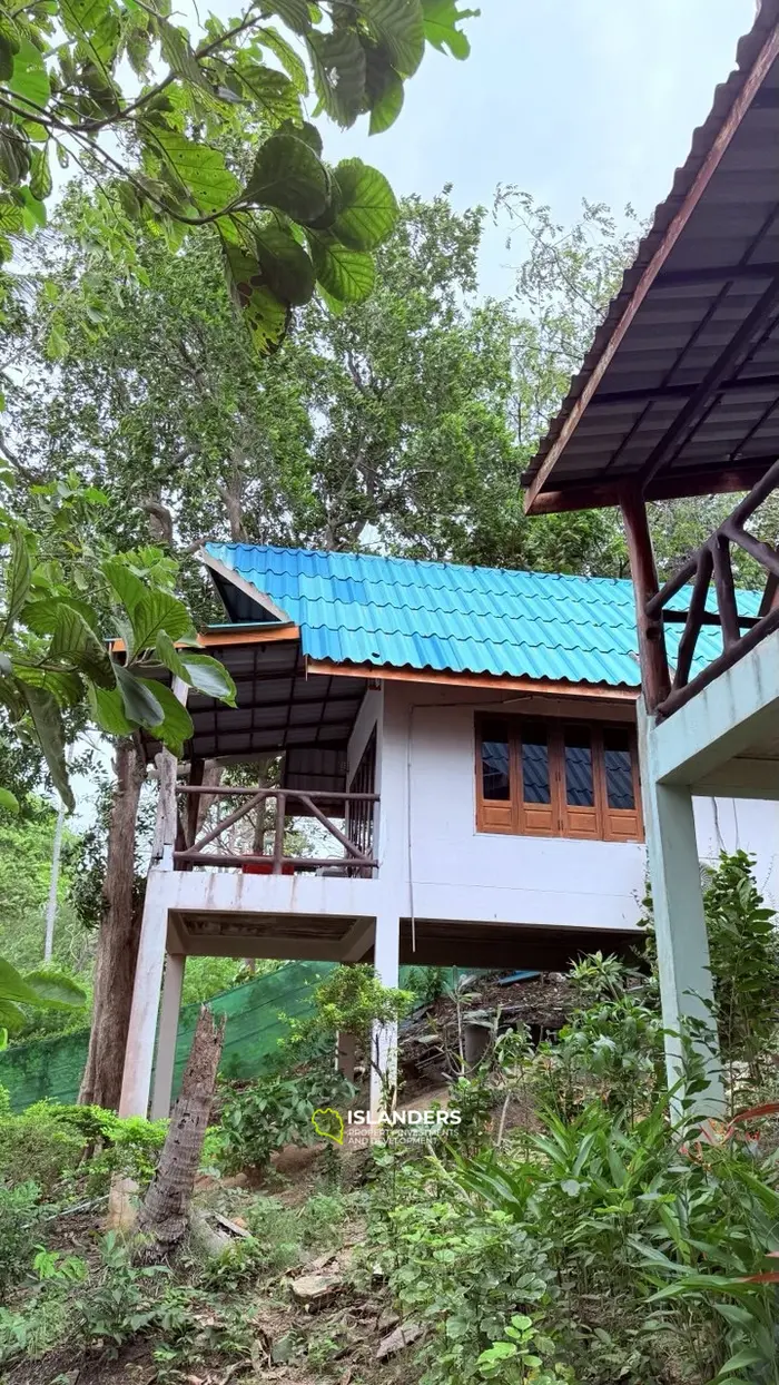 ✨ Beachfront Hotel for Sale at Haad Rin, Koh Phangan — Fully Licensed & Ready-to-Operate