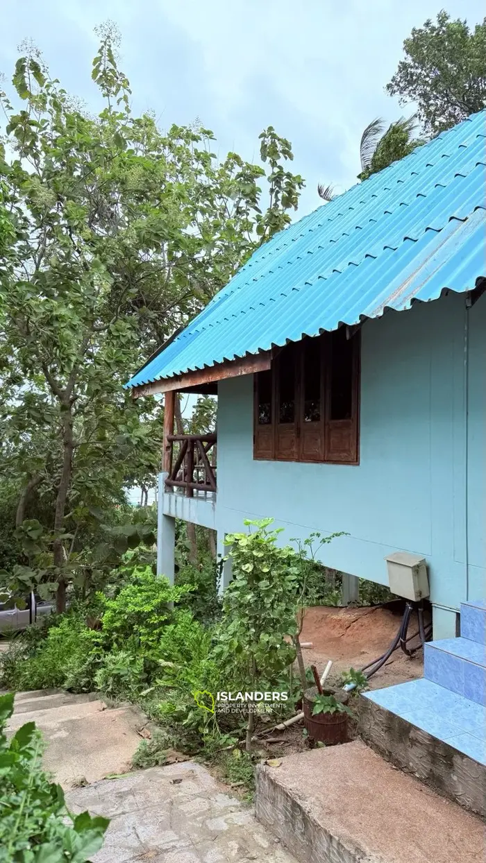 ✨ Beachfront Hotel for Sale at Haad Rin, Koh Phangan — Fully Licensed & Ready-to-Operate