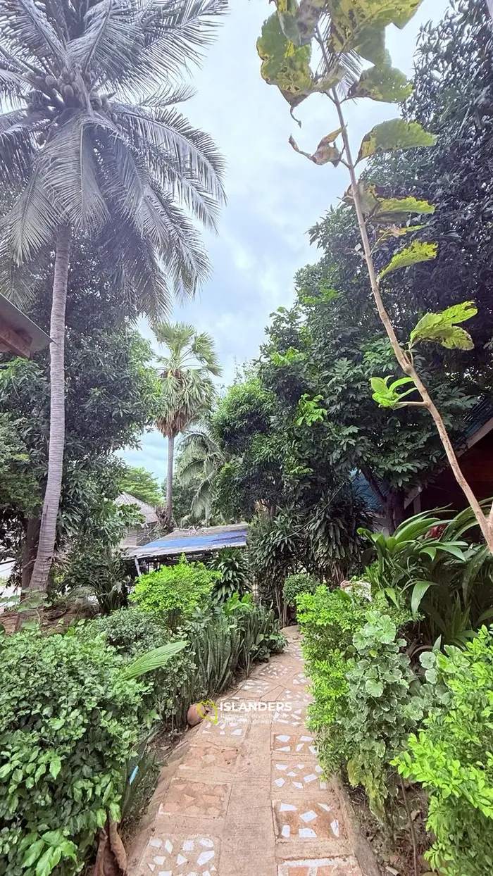 ✨ Beachfront Hotel for Sale at Haad Rin, Koh Phangan — Fully Licensed & Ready-to-Operate