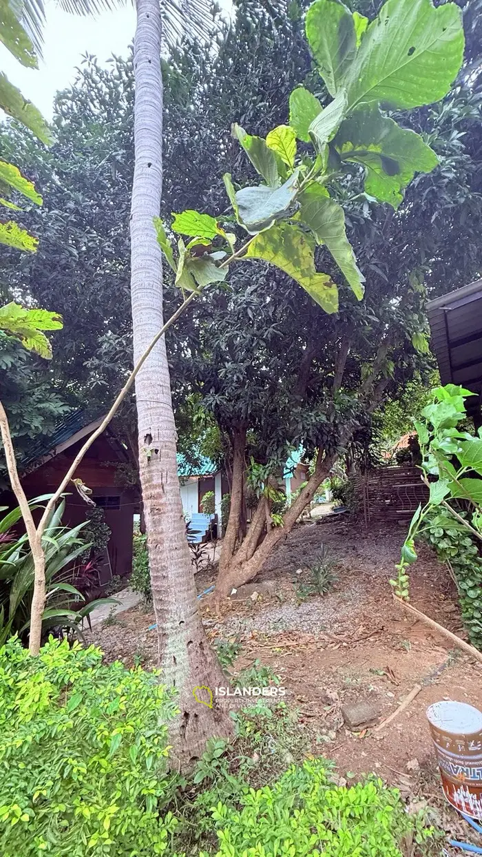 ✨ Beachfront Hotel for Sale at Haad Rin, Koh Phangan — Fully Licensed & Ready-to-Operate