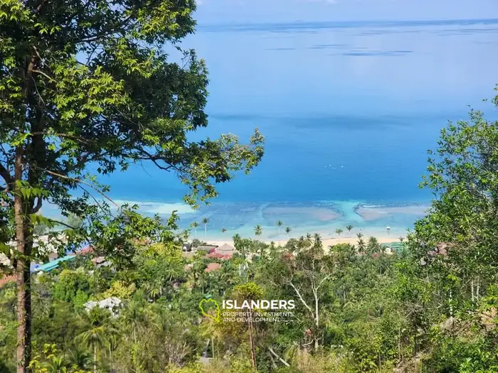 Absolute Beach View – 612 SqM plot