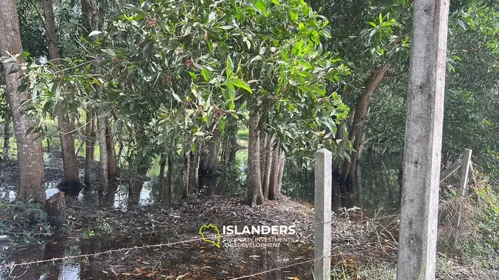 Изысканная земля с видом на джунгли в аренду на Кох Пхангане