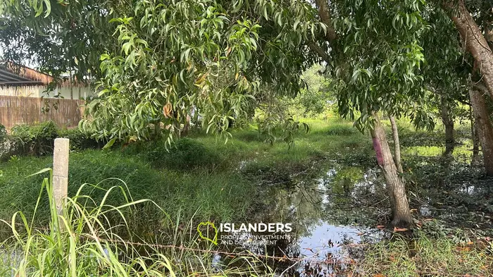 Изысканная земля с видом на джунгли в аренду на Кох Пхангане