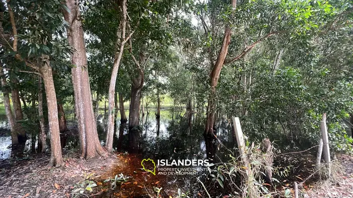 Изысканная земля с видом на джунгли в аренду на Кох Пхангане