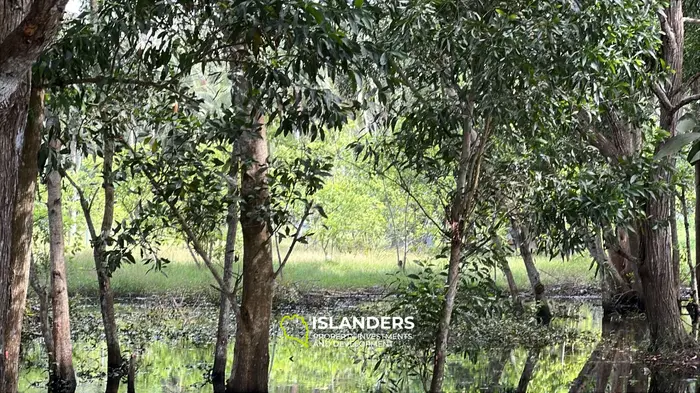 Изысканная земля с видом на джунгли в аренду на Кох Пхангане