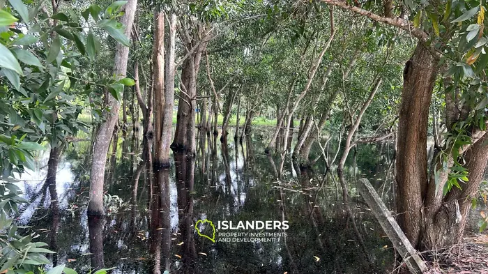 Изысканная земля с видом на джунгли в аренду на Кох Пхангане