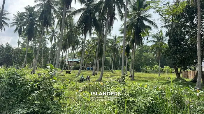 Изысканная земля с видом на джунгли в аренду на Кох Пхангане